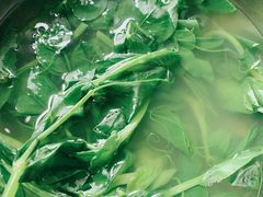 -攀枝花·任德琼·盐边羊肉米线