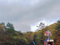 -汤旺河林海奇石景区