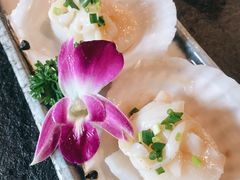 碳烤鲜活扇贝-虎焱炭火烧肉