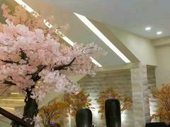 -汤里来温泉