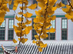 -四川大学(华西校区)