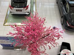 -上海和展广汽丰田4S店(老闵行店)