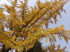 -国家植物园南园