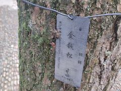 -杭州植物园
