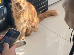 -平行世界·猫咖(首经贸店)