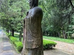 -紫霞湖公园