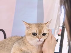 -成都银泰城