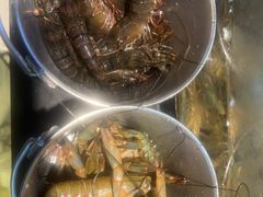 -争先鲜·蒸汽海鲜自助·鲜切牛肉