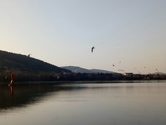 -长广溪湿地公园