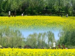 -北坞公园
