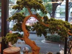 -苏面斋·本地传统苏式面馆