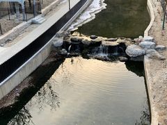 -白水寺森林公园