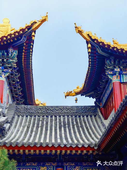 西安市广仁寺图片