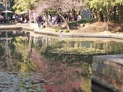 -兰亭风景区