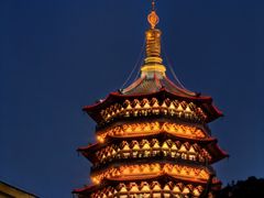 -浙江西子宾馆·牡丹厅