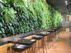 -Seesaw Coffee(环贸iapm店)