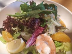 香橙蟹籽大虾沙律-MR.ROCKY洛奇先生RESTAURANT&BAR(宝安壹方城店)