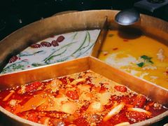 台式麻辣锅-湊湊火锅·茶憩(世博大道店)