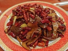 -菌之家·专业纯野生菌火锅·特色炒菌