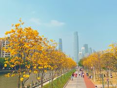 -洲头咀公园