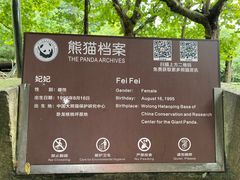 -都江堰中华大熊猫苑