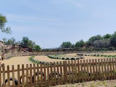 -北京张裕爱斐堡酒庄