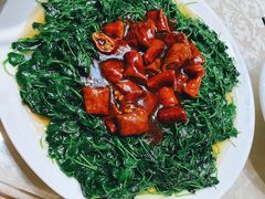 -阿英煲(凉城路店)