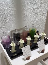 -薇薇安花系SPA