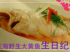 -美泉宫饭店美泉盛宴海鲜