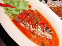 -凤凰湘语(浦东旗舰店)