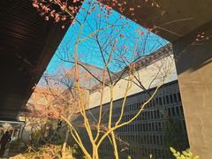-雅达·阳羡溪山小镇中心