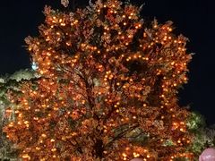 -荣小馆(临海世纪花城店)