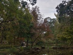 -秋霞圃
