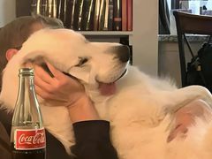 -天和晟烤鸭店(玉泉西街店)