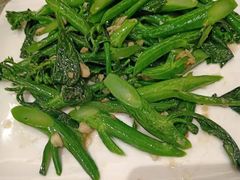 -锦粤宫·精致粤菜(阳西店)