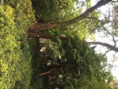 香港大学-香港大学