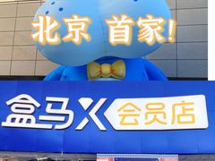 -盒马X会员店(王府井奥莱UP TOWN店)