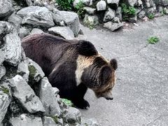 -成都动物园