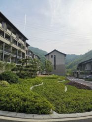 -镁连社·美联社