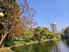 -晓港公园