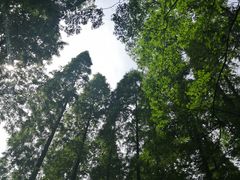 -上海怡沁园度假酒店