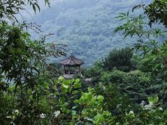 -香山公园