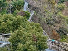 -福道