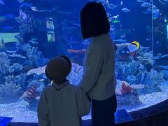 -左海海底世界