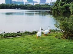 -东华大学(松江校区)