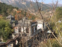 -老张烤羊(王哥庄店)