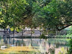 -成都市活水公园