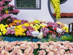 -上海共青森林公园