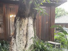 -大妙火锅·非物质文化遗产(东湖公园店)