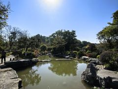 -东莞植物园